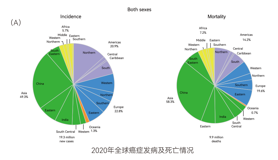 艾消安® | 20ml血一次检测消化五癌 艾消安® | 20ml血一次检测消化五癌