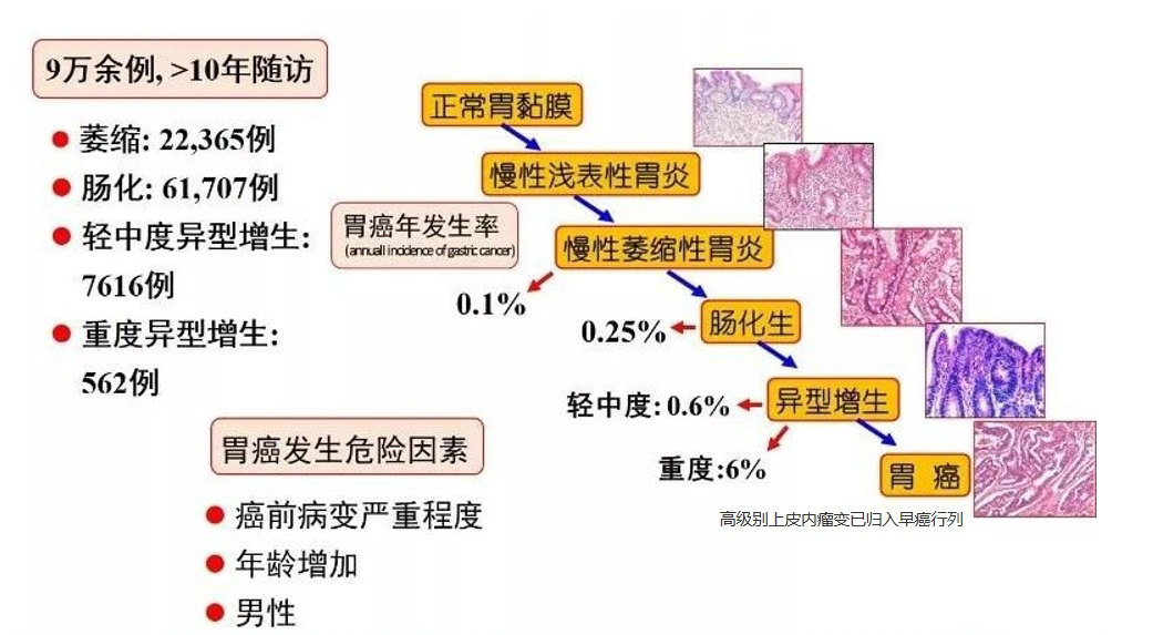 一管血 · 三种癌 | 肠胃肝消化三癌联检可有效降低高发癌发病率和死亡率 一管血 · 三种癌 | 肠胃肝消化三癌联检可有效降低高发癌发病率和死亡率