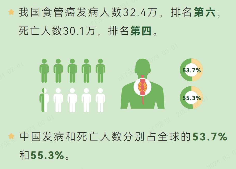基因甲基化检测食管癌,优势尽显 基因甲基化检测食管癌,优势尽显